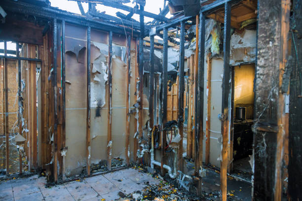 Professional Smoke Damage Removal technician working in Silver Creek, NY